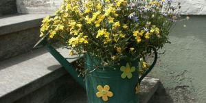 PICT0001.JPG